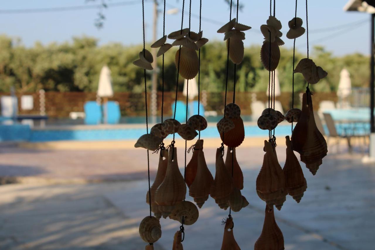 Souda Studios Alykes Zakynthos Εξωτερικό φωτογραφία